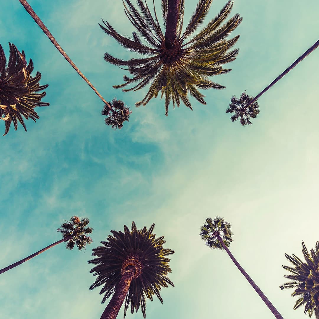 Au cœur de Casablanca